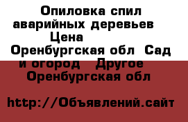 Опиловка,спил аварийных деревьев. › Цена ­ 1 000 - Оренбургская обл. Сад и огород » Другое   . Оренбургская обл.